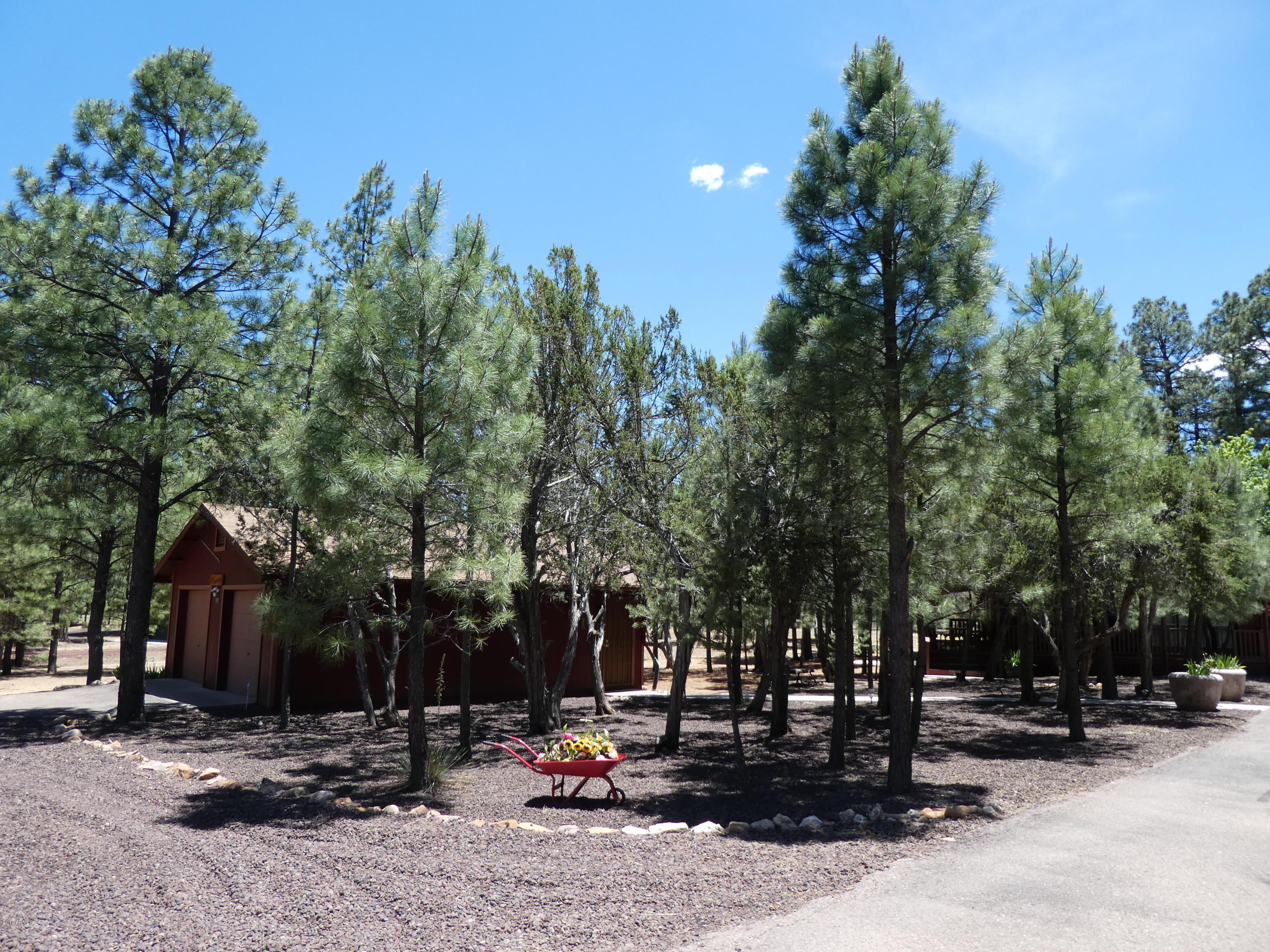 3021 Aspen Road Overgaard, AZ 85933 - Photo 24 of 28 P1000021