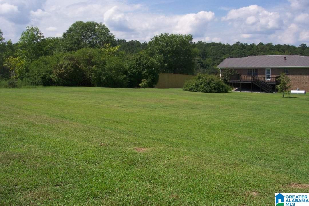 7677 Highway 27 Springville Al Springville, AL 35146 - Photo 4 of 43