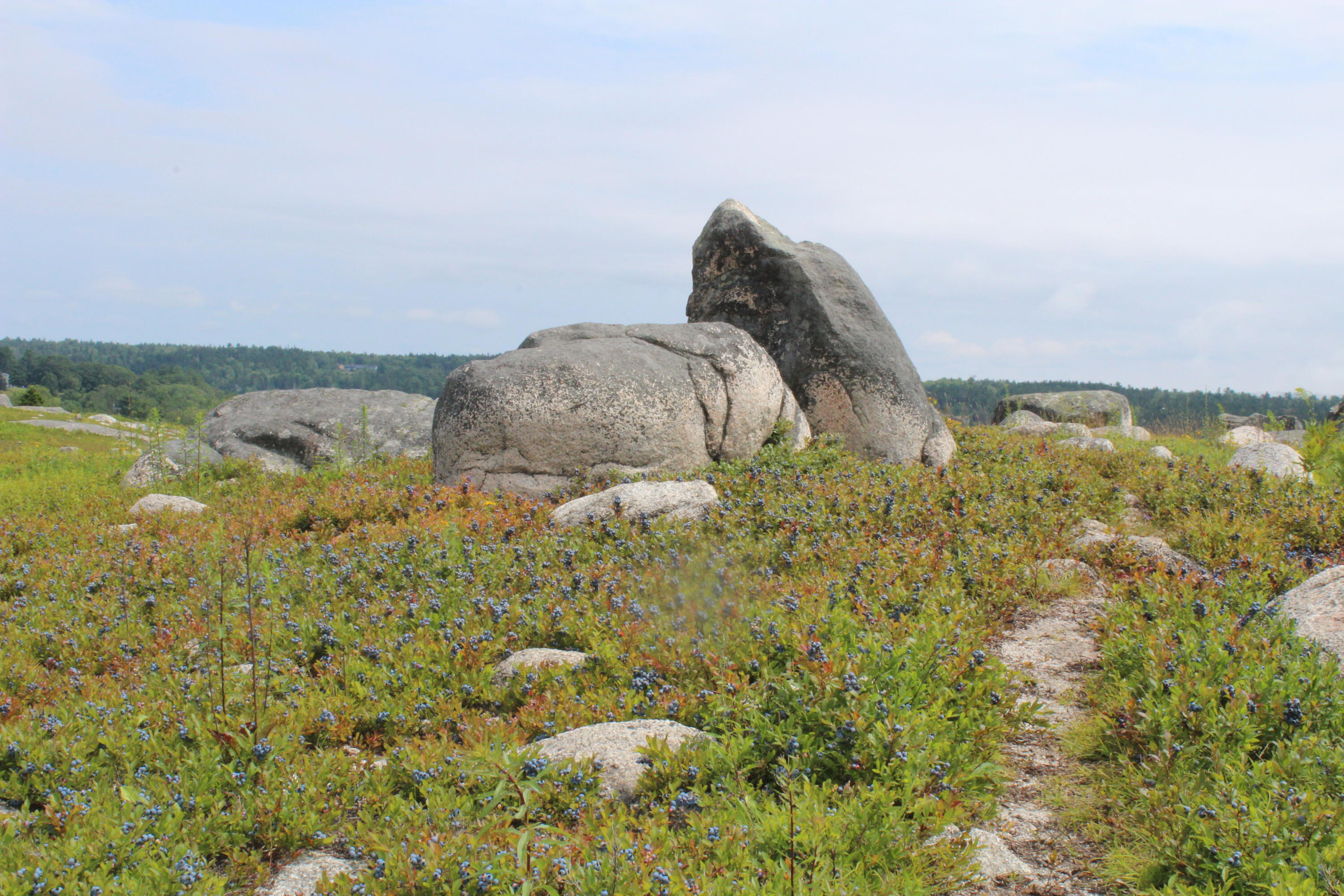 0 Salt Pond Road Blue Hill, ME 04614 - Photo 12 of 19 2023-07-22 12.04.06