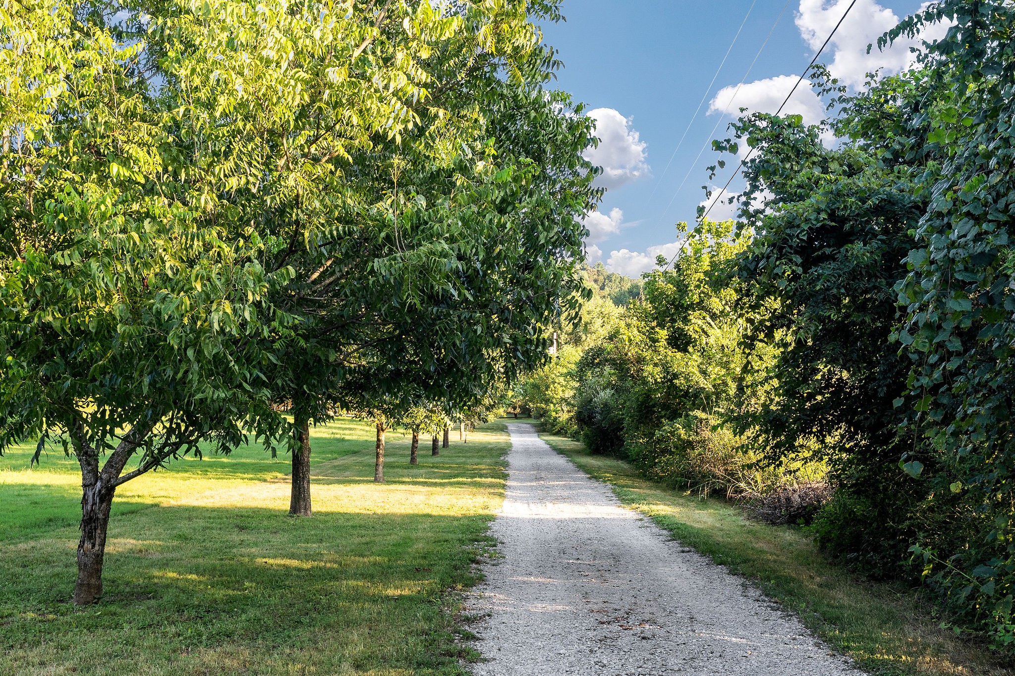 574 Hayes Ridge Road Lancaster, TN 38569 - Photo 36 of 53 a view of swimming pool with a yard
