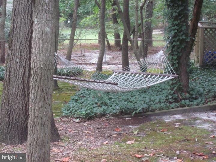 3 Forest Green Road Medford, NJ 08055 - Photo 24 of 25