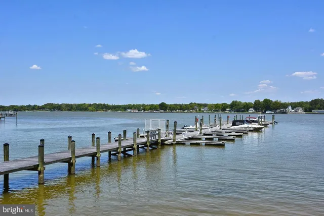 a view of a lake with boats and trees in the background