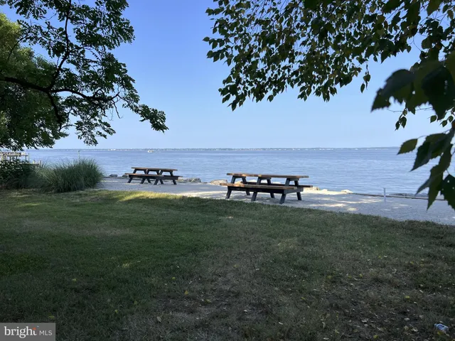 a view of a golf course with a tree