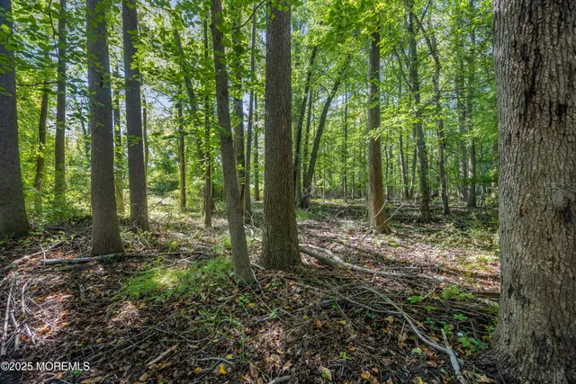 $200,000 | 0 Oregon Avenue, Middletown, NJ 07748