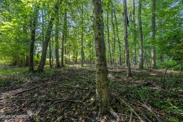 $200,000 | 0 Oregon Avenue, Middletown, NJ 07748