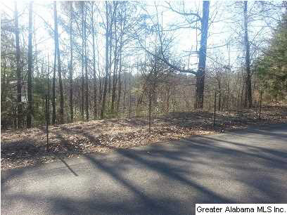 697 Hilltop Road, Unit 6 AC Warrior, AL 35180 - Photo 2 of 4
