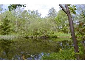 1337 Claybrook Road Canaan, VT 05903 - Photo 4 of 9