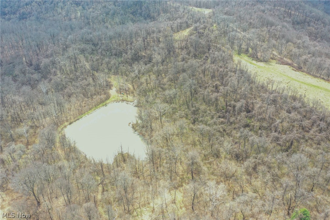 56835 Stephens Road Jacobsburg, OH 43933 - Photo 19 of 50