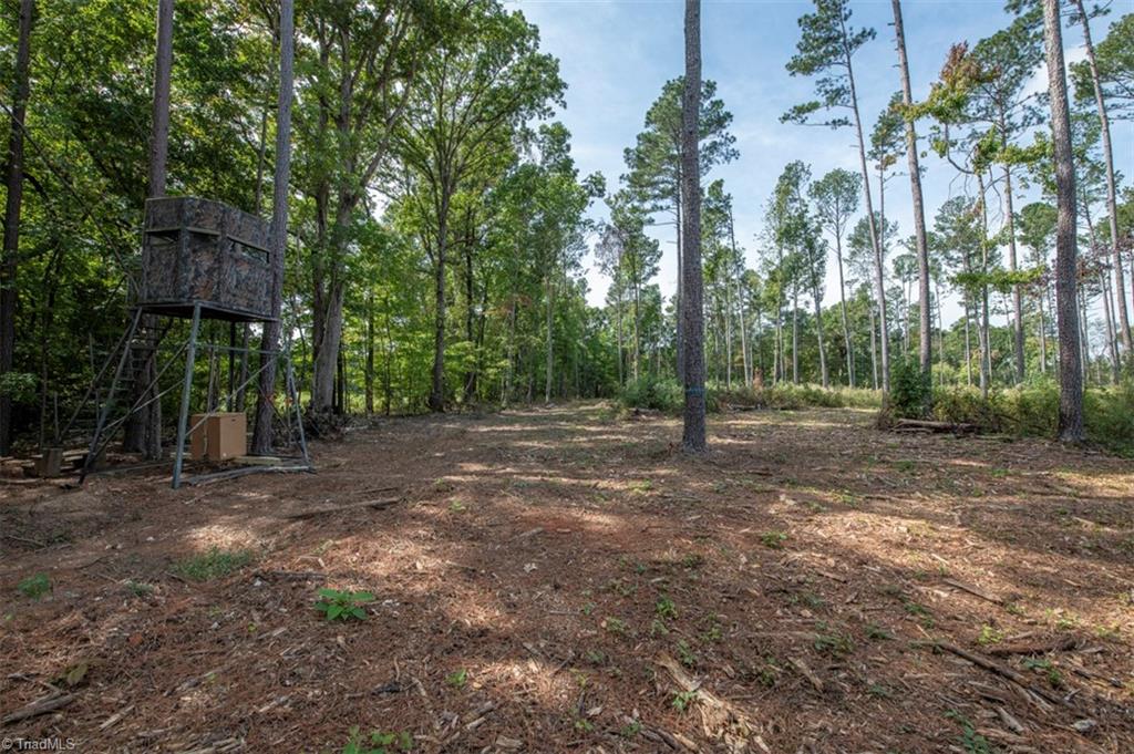 0 Burrell Allen Road Asheboro, NC 27205 - Photo 22 of 39 Gallery Image 22