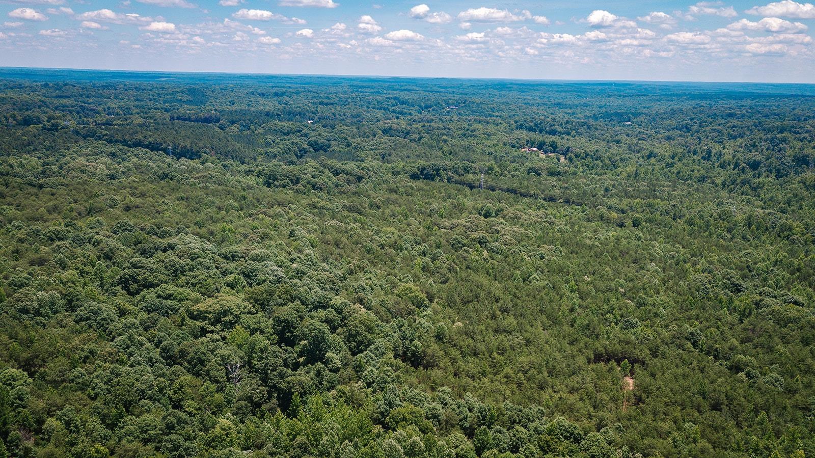 2109 Riddle Road Pauline, SC 29374 - Photo 7 of 16