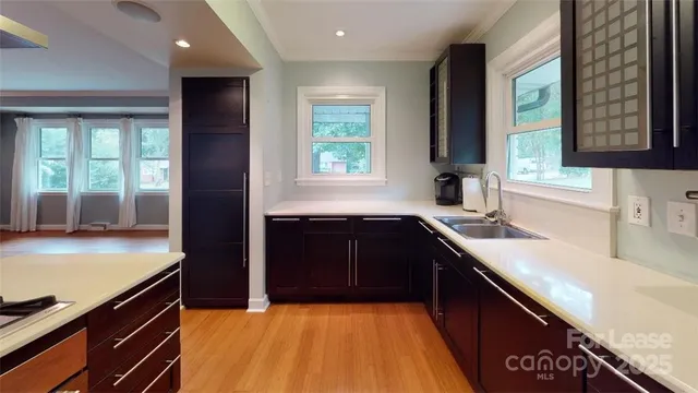 a kitchen with a sink a counter top space and cabinets