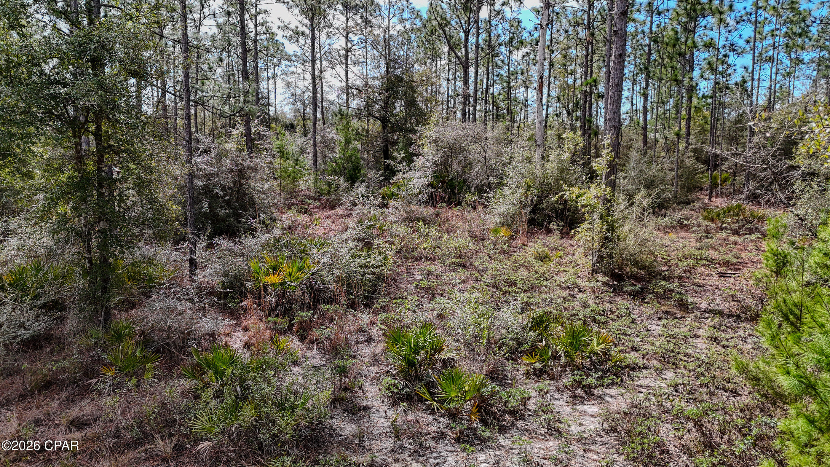 23588 Lamont Road Fountain, FL 32438 - Photo 45 of 48