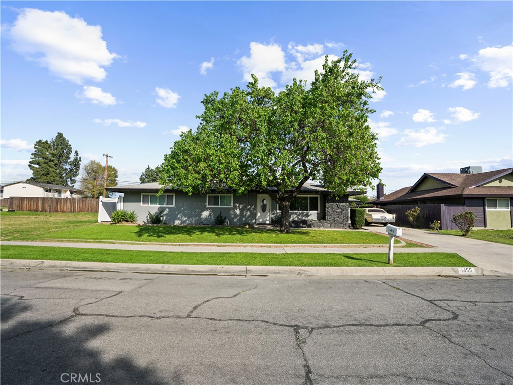 1455 North Alice Avenue Rialto, CA 92376 - Photo 2 of 23 a view of a house with a big yard and a large tree