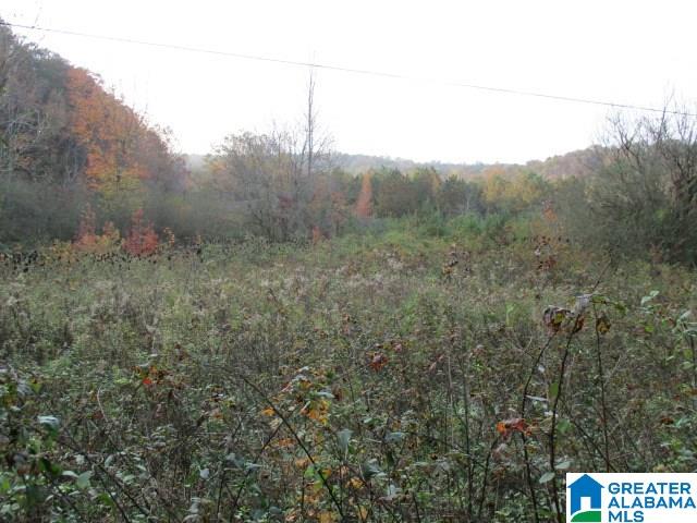 Smith Road, Unit 23 25 Oneonta, AL 35121 - Photo 3 of 5