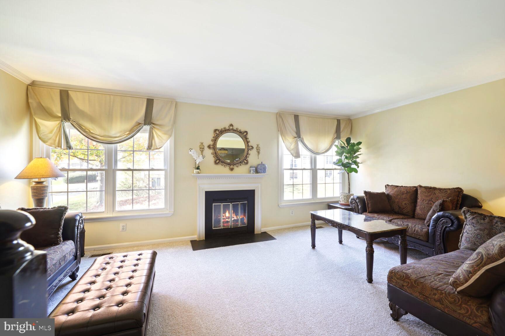 14506 MacBeth Drive, Unit 14506 Silver Spring, MD 20906 - Photo 5 of 28 Living room beaming with natural light