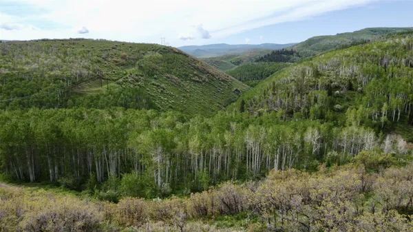 $747,000 | 24425 Lone Tooth Trail, Oak Creek, CO 80467