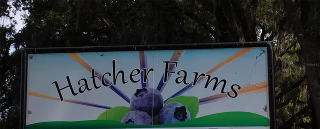 a view of swimming pool