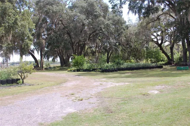 a view of a yard with a trees
