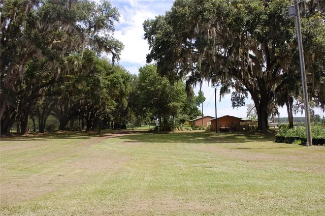 a view of swimming pool with trees
