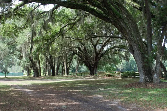 a view of backyard with green space