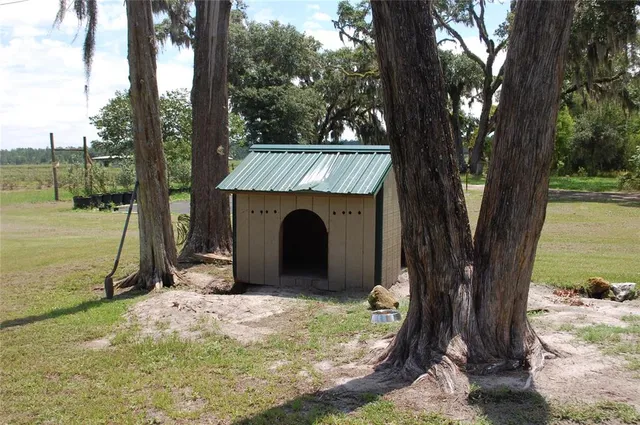 a view of a garden with a tree