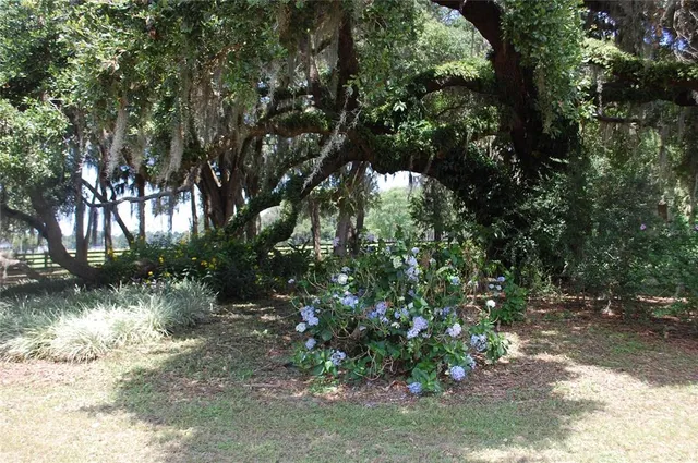 a backyard of a house with lots of green space