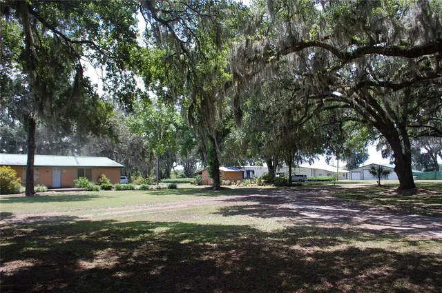 a row of road with trees