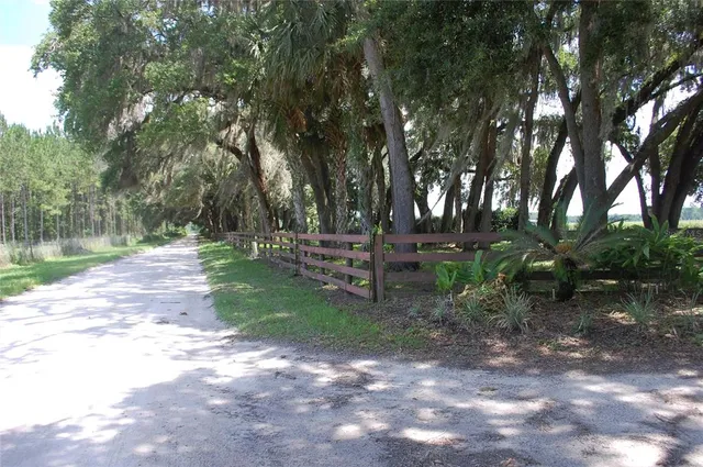 a view of a park with large trees