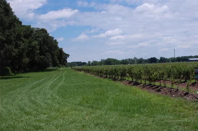 a backyard of a house with lots of green space and glass windows
