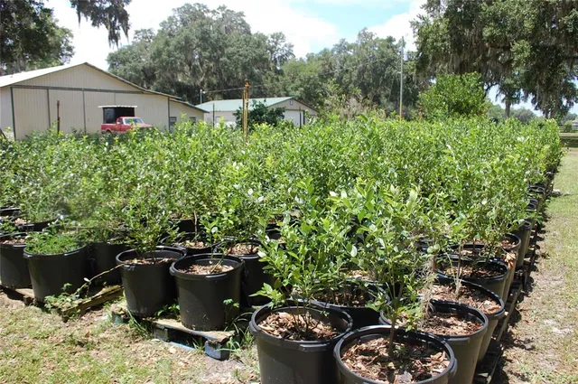 a view of a lake with a bench in a lake
