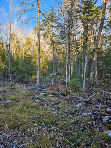 $40,000 | 199 Poplar Street, Old Town, ME 04468