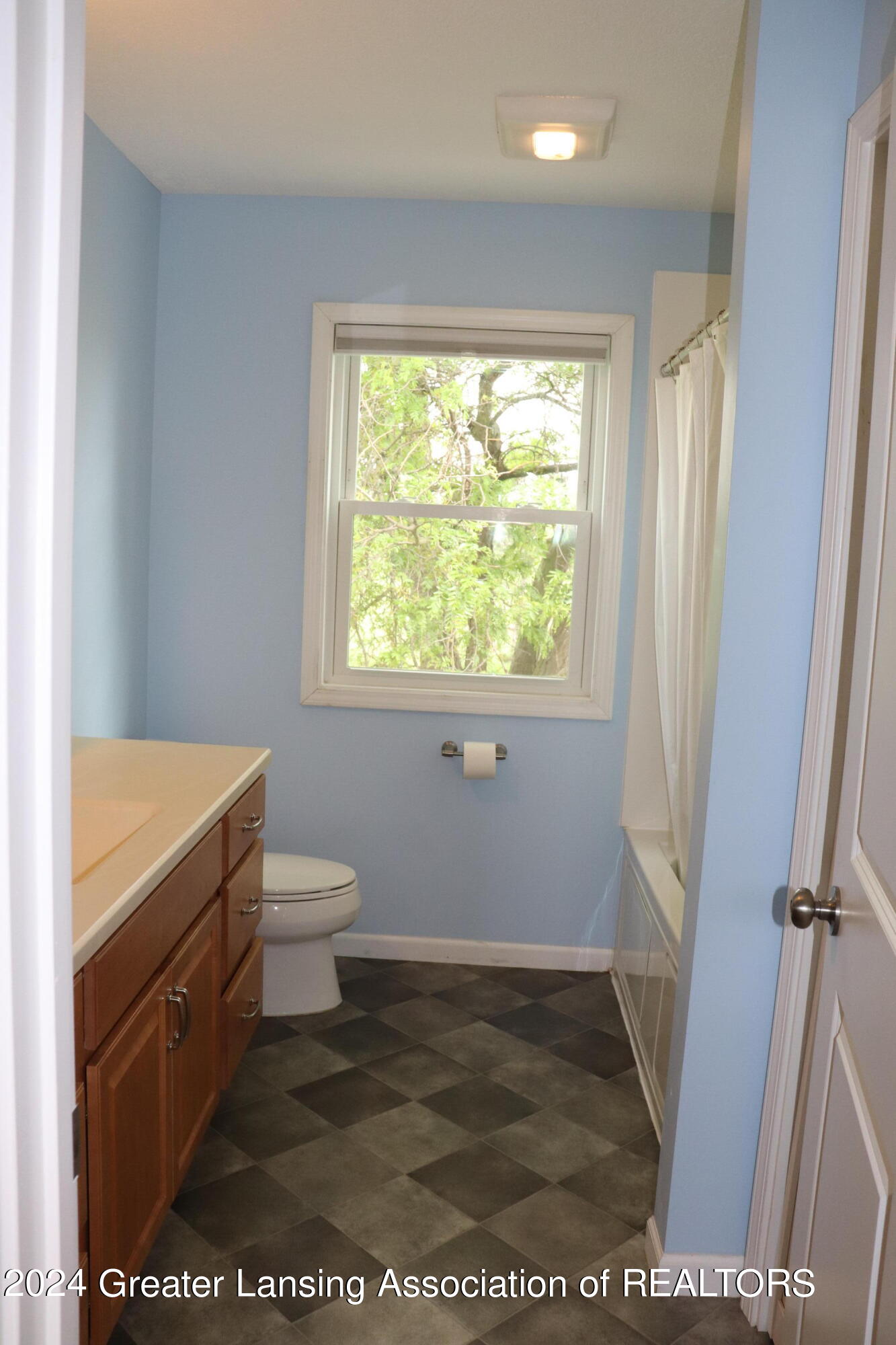 3707 East Clark Road Bath, MI 48808 - Photo 25 of 44 IMG_3017