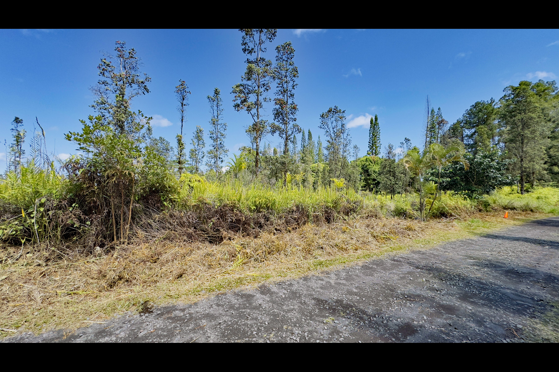 2444 Uhini Ana Road Mountain View, HI 96771 - Photo 11 of 27 a view of a yard with plants and trees