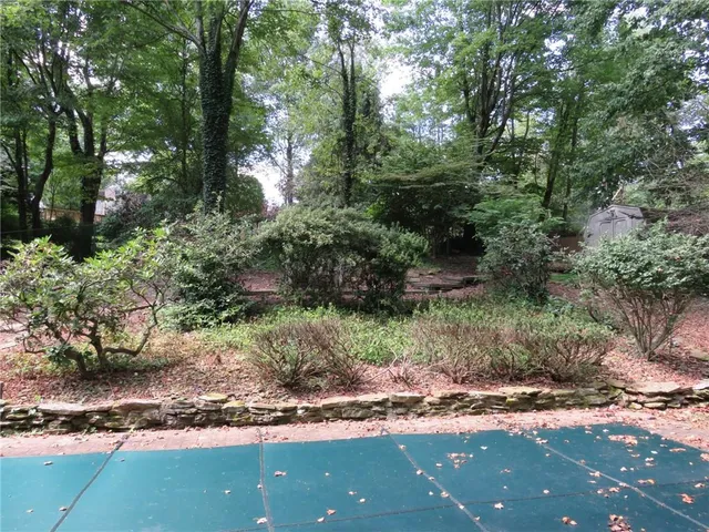 a view of a yard with plants and large trees