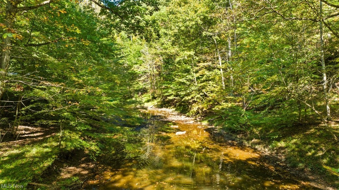 2008 Goose Creek Road Petroleum, WV 26161 - Photo 24 of 35 View of nature featuring a water view
