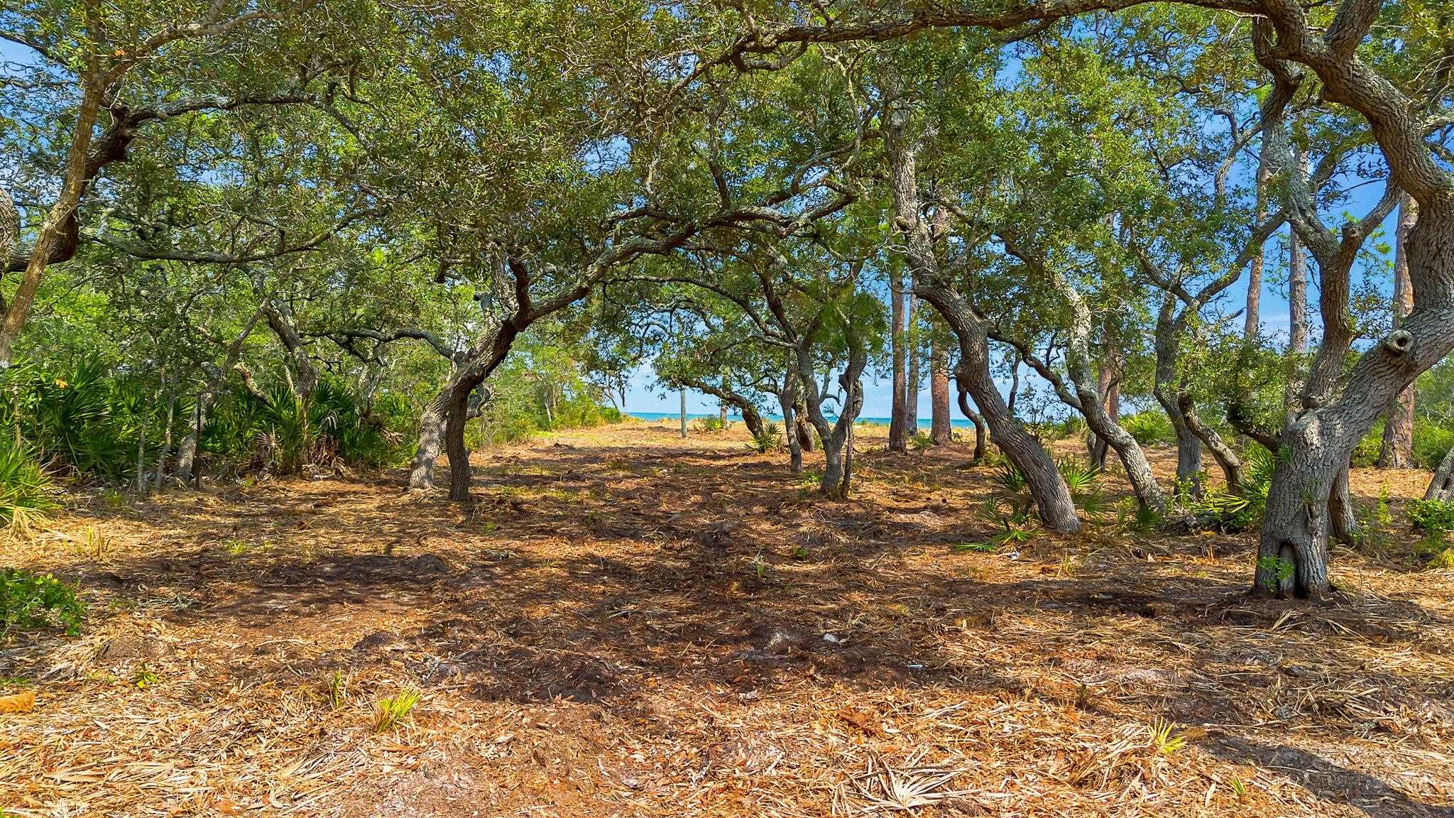 416 Bald Point Road Alligator Point, FL 32346 - Photo 13 of 15 Gallery Image 13