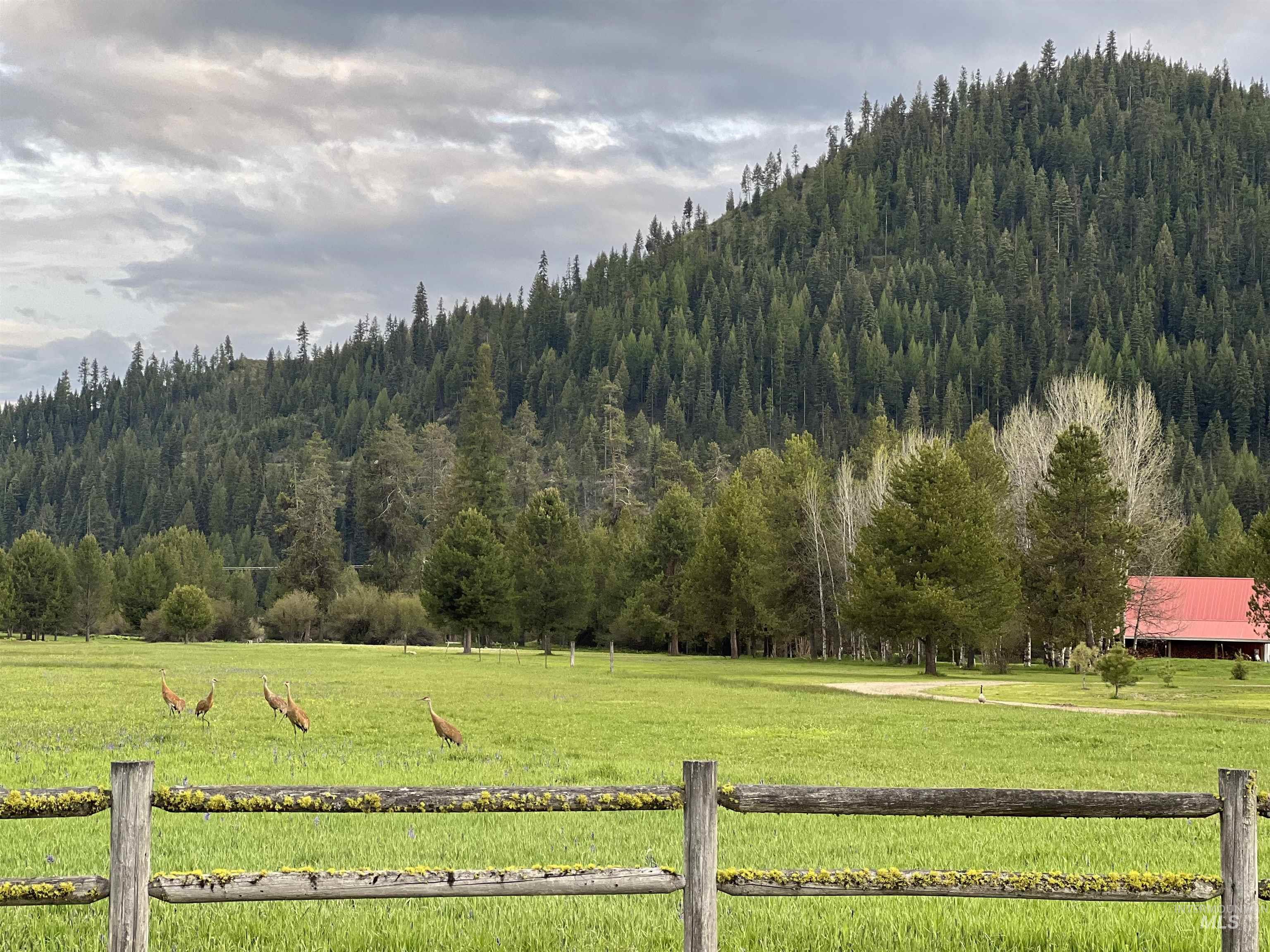 9785 Edna Place Cascade, ID 83611 - Photo 41 of 50