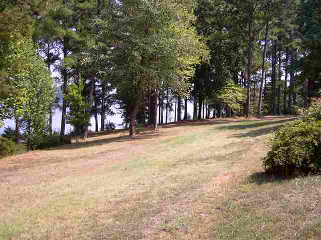 0 Luther Land Road, Unit LOT 16 Seneca, SC 29672 - Photo 11 of 14 Gallery Image 11