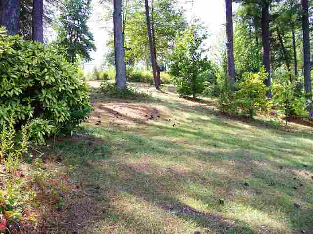 0 Luther Land Road, Unit LOT 16 Seneca, SC 29672 - Photo 12 of 14 Gallery Image 12