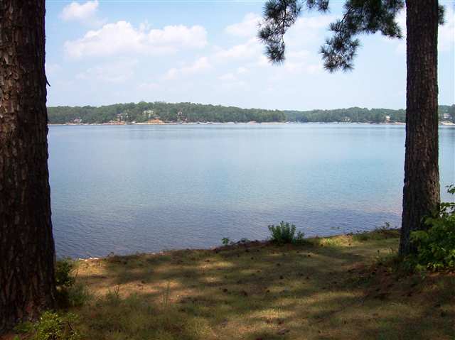 0 Luther Land Road, Unit LOT 16 Seneca, SC 29672 - Photo 3 of 14 Gallery Image 3