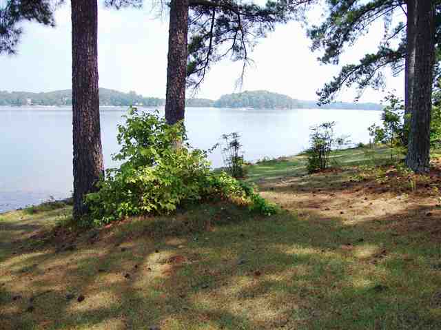 0 Luther Land Road, Unit LOT 16 Seneca, SC 29672 - Photo 5 of 14 Gallery Image 5