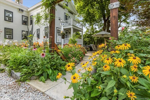 a flower plants in front of building