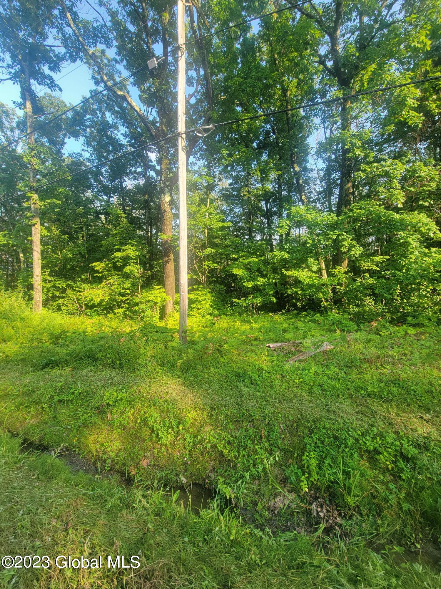 L2 Crawford Road Rotterdam, NY 12306 - Photo 2 of 4 20230724_174028