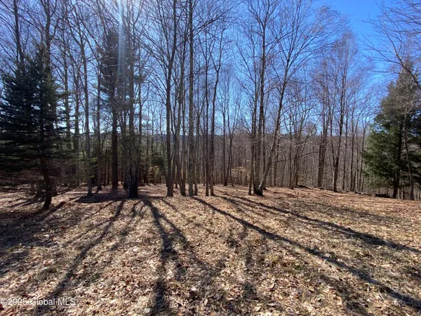 $72,500 | L22.2 L22.2 Alder Pond Road, Andes, NY 13731