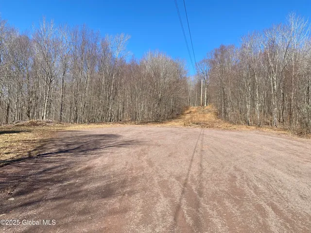 $85,000 | L22.2 L22.2 Alder Pond Road, Andes, NY 13731