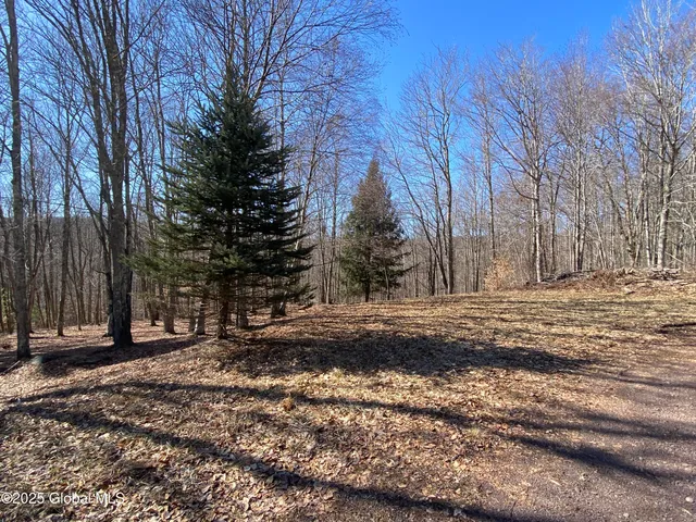 $85,000 | L22.2 L22.2 Alder Pond Road, Andes, NY 13731
