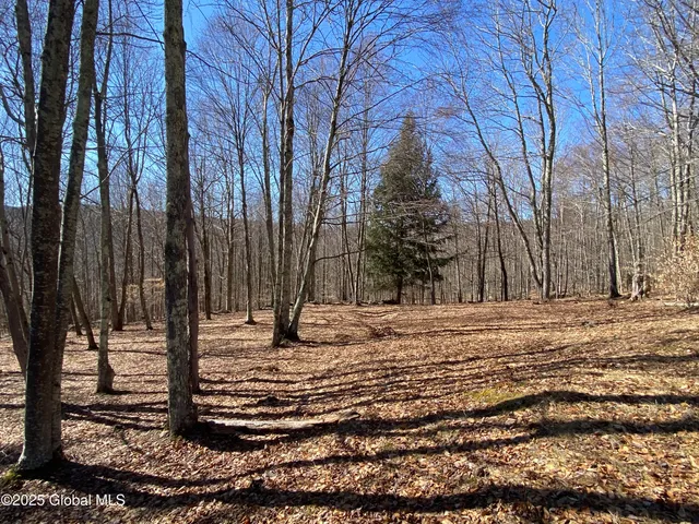 $85,000 | L22.2 L22.2 Alder Pond Road, Andes, NY 13731