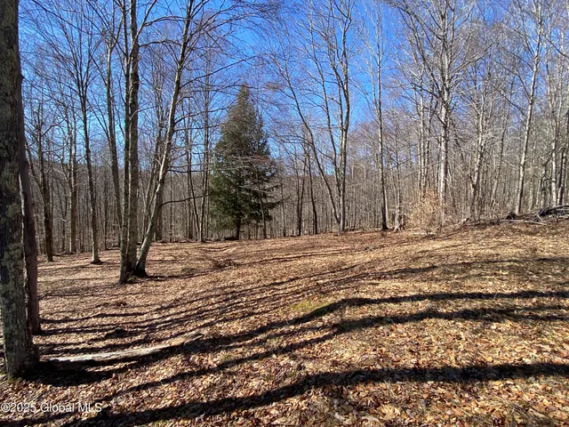 $85,000 | L22.2 L22.2 Alder Pond Road, Andes, NY 13731