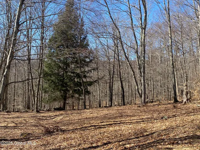 $85,000 | L22.2 L22.2 Alder Pond Road, Andes, NY 13731