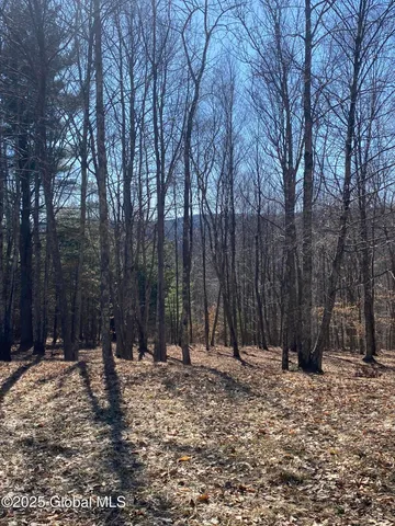 $85,000 | L22.2 L22.2 Alder Pond Road, Andes, NY 13731